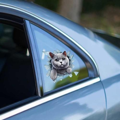 Büro Ev Ofis Arabası için 10x10CM Tekli Araç Dışı British Dog Oto Cam Stickerı