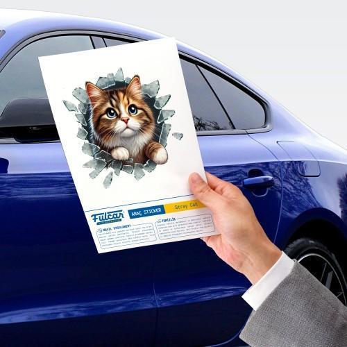 Büro Ev Ofis Arabası için 10x10CM Tekli Araç Dışı Stray Oto Cam Stickerı