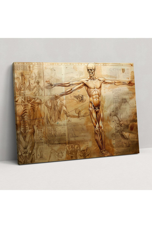 Anatomik Çalışma Kanvas Tablo, Leonardo Da Vinci, Kanvas Tablo