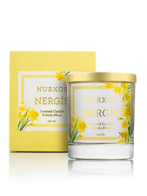 9653 Nergis 220 gr Kokulu Mum 8681124696533