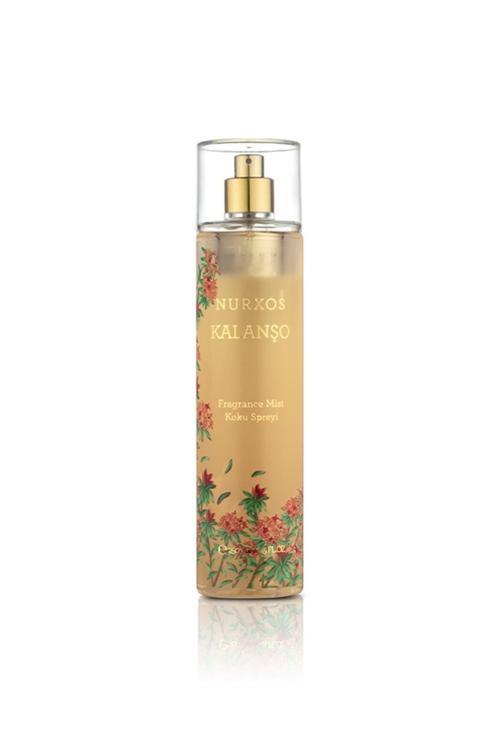 9058 Kalanşo 250 ML Erkek Koku Vücut Spreyi 8681124690586
