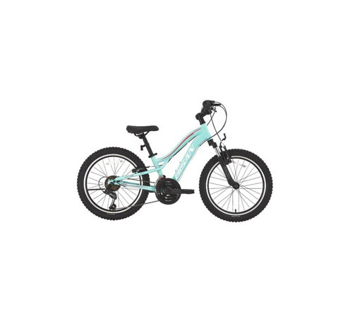 GAZELLA KADIN DAĞ BİSİKLETİ 30CM V 24 JANT 18 VİTES TURKUAZ KOYU PEMBE