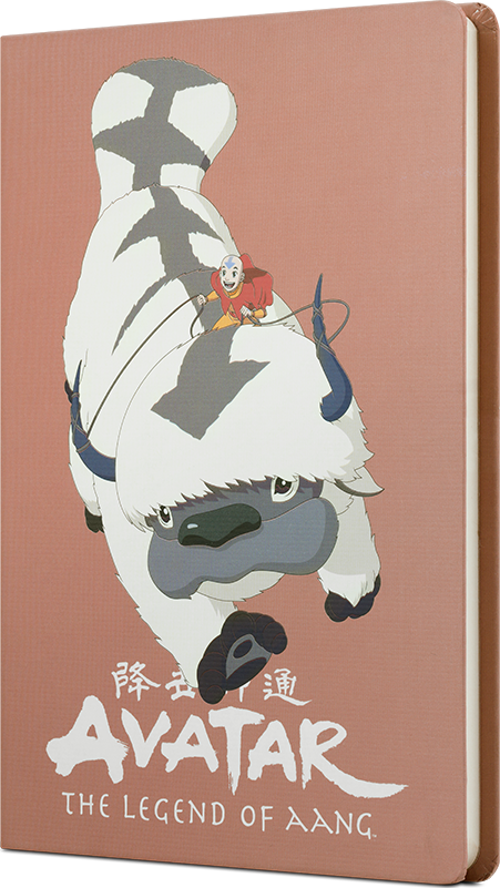 Avatar Appa Ve Aang Sert Kapak Butik Not Defteri Puce Rengi 80 Yaprak Çizgisiz 15X21Cm Dft-388210