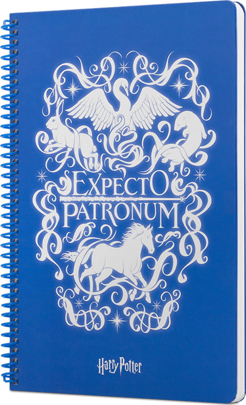 Harry Potter Expecto Spiralli Not Defteri Mavi 80 Yaprak Çizgili 17X24Cm Dft-388449