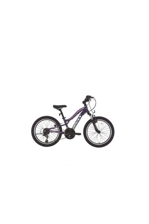 Gazelle Çocuk Bisikleti 28 Cm V 20 Jant 18 Vites Metalik Mor Açık Pembe