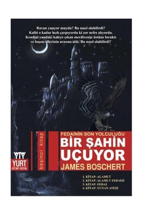 Yurt Kitap Yayın Bir Şahin Uçuyor