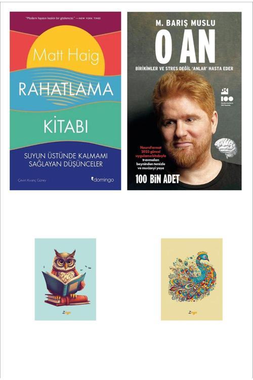 Dara Yayınları O An - M. Barış Muslu - Rahatlama Kitabı Matt Haig (2 Not Defterli)