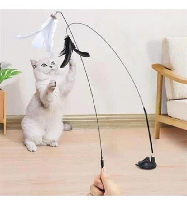 VANTUZLU KEDİ OLTASI - Image 1