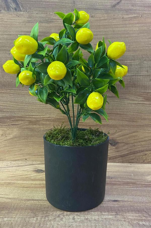 Yapay Limon Ağacı Dekoratif Limon Plastik Saksıda Limon Ağacı - Image 1