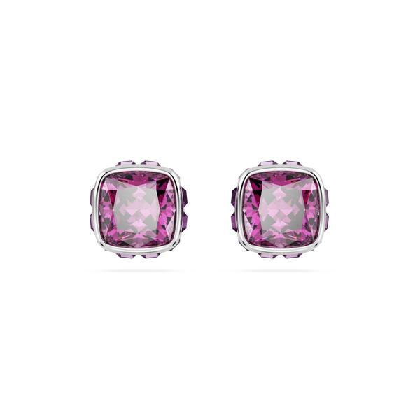 5660797 Swarovski Küpe Birthstone:Pe Studs Feb Pur/Rhs - Image 1