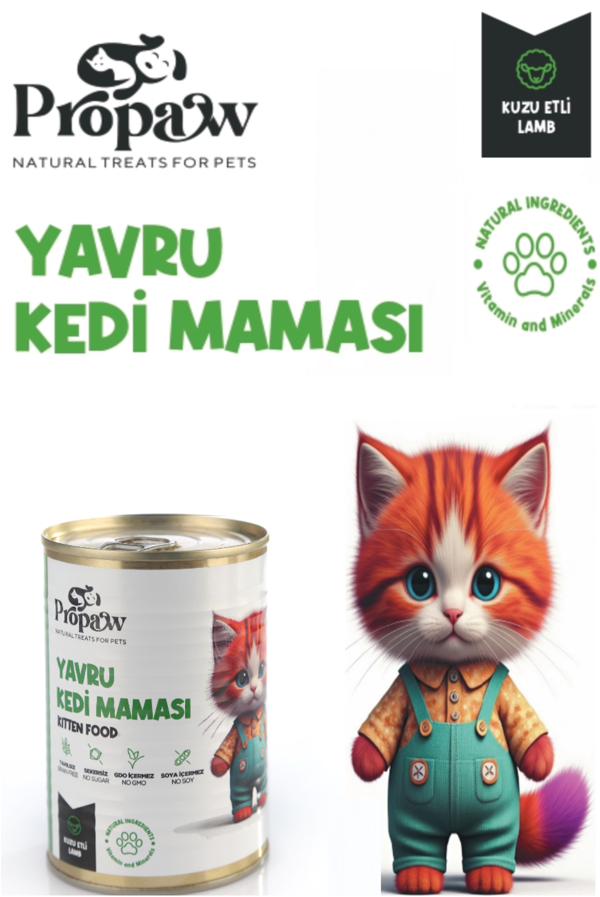 Yavru Kedi Yaş Mama Kuzu Konserve Jöleli Premium Parça Etli Besleyici Tahılsız Temiz İçerik  - Image 1