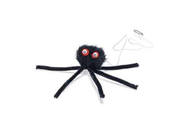 Beeztees Kedi Oyuncağı, Elastik İpli Örümcek, 17cm - Image 1