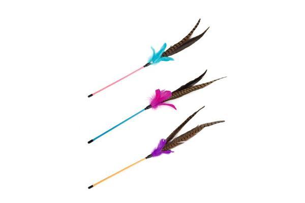 Beeztees Kedi Oltası, Ucu Tüylü-10cm, 30cm - Image 1