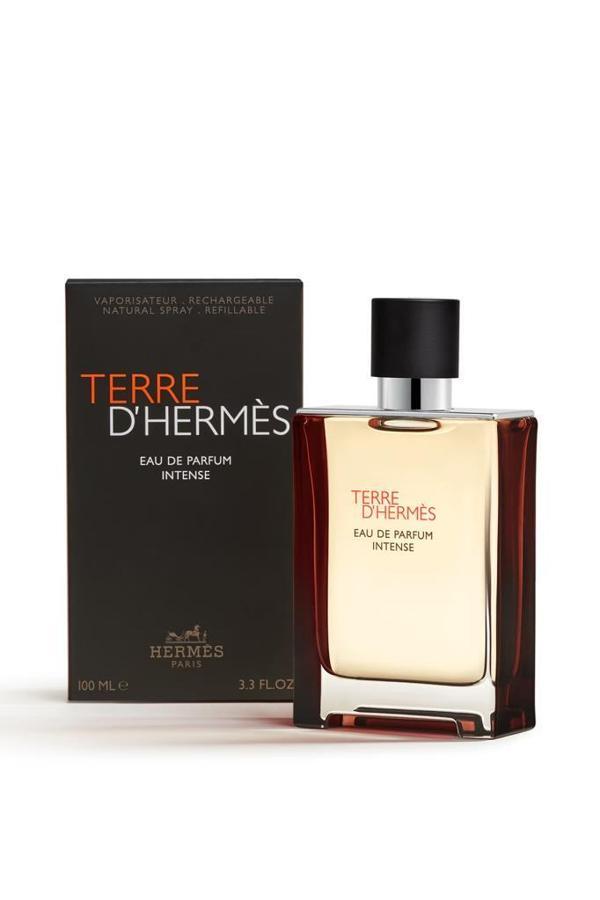 Hermes Terre D‘Hermes EDP Intense 100 ml Erkek Parfüm - Image 1