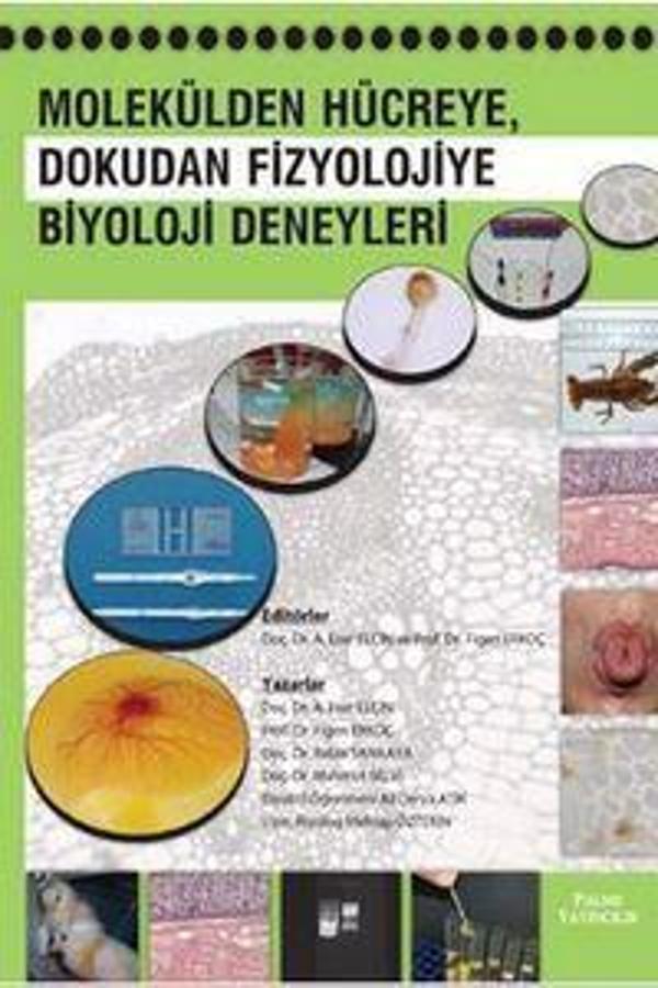 Molekülden Hücreye, Dokudan Fizyolojiye Biyoloji Deneyleri - Palme Yayınları - Image 1