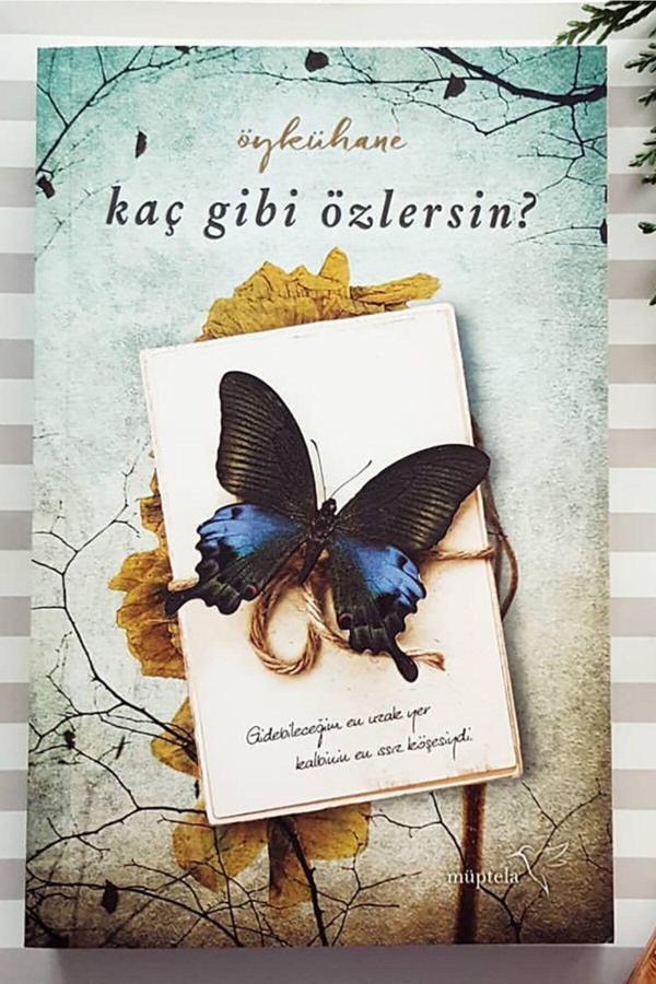 Köpek Adam 3-4 Set (İki Kediciğin Hikayesi # Ve Kedi Çocuk) Dav Pilkey - Altın Kitaplar - Image 1