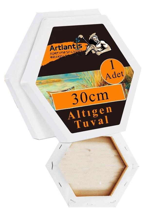 Altıgen Tuval 30 cm 1 Adet Arkadan Zımbalı Astarlı Resim Tuvali Akrilik Boya Yağlı Boya Altıgen Şekil Tuval Ressam Sanat - Image 1