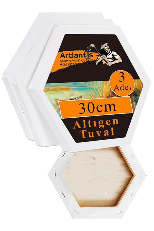 Altıgen Tuval 30 cm 3 Adet Arkadan Zımbalı Astarlı Resim Tuvali Akrilik Boya Yağlı Boya Altıgen Şekil Tuval Ressam Sanat - Image 1