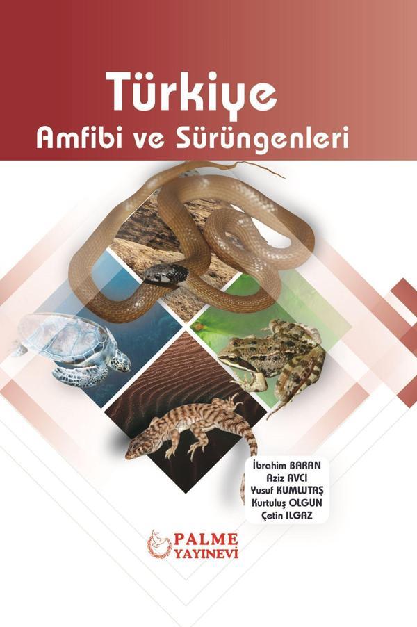 Palme Yayınevi Türkiye Amfibi Ve Sürüngenleri - Palme Yayınları - Image 1
