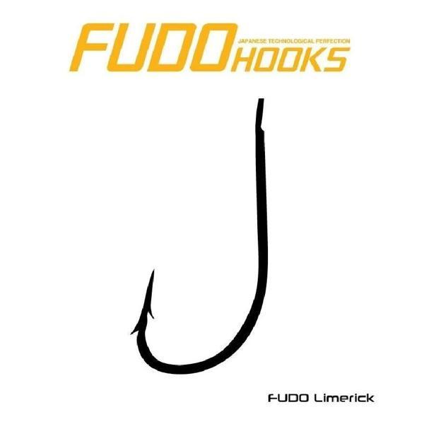Fudo 5701 Limerick Black Nikel İğne No:1/0 - Image 1