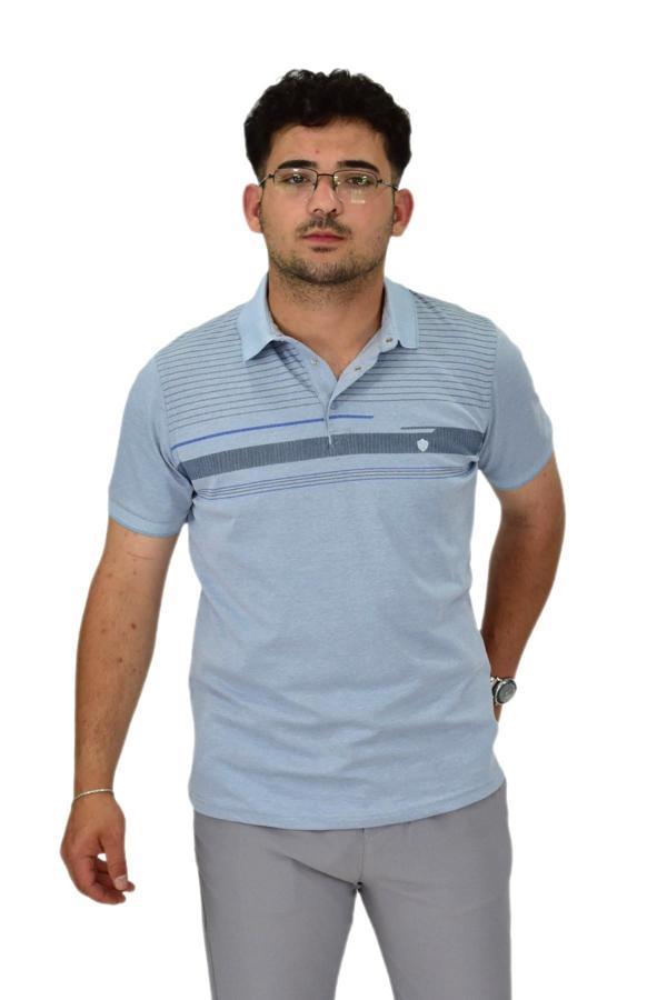 Erkek Polo Yaka Pano Çizgili Tişört T273 BGL-ST04592 - Image 1