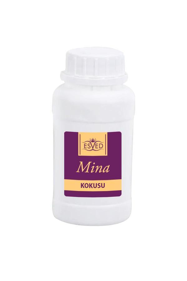 Mina Kokusu Çubuklu Koku Bambu Kokusu Yedek Dolum Şişesi 100Ml - Image 1