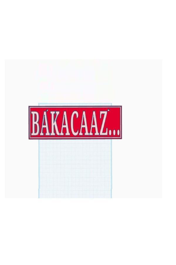 Relatos Bakacaaz Yazılı Tır Kamyon Araba Ev Duvar Süsü Vantuzlu Dekor 25 Cm Plastik Dekor Aksesuar - Image 1