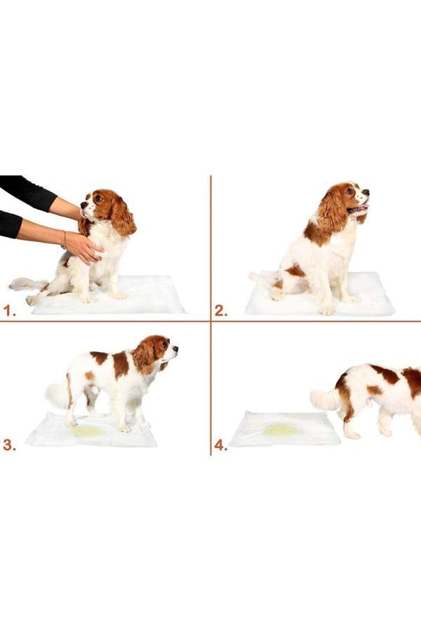 Relatos 5 Li Köpek Tuvalet Eğitim Pedi - Kullan At Çiş Pedi - 90 X 60 Cm - Image 1