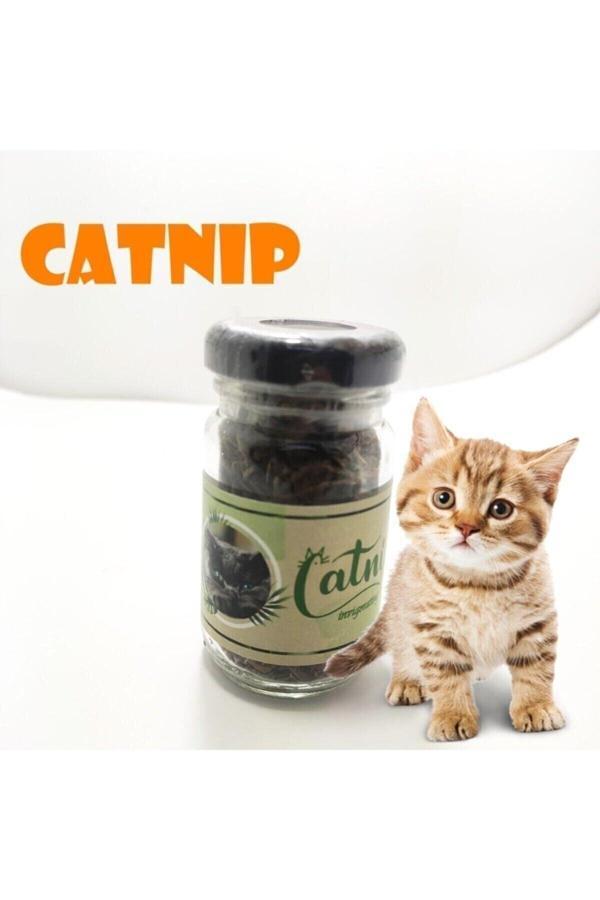 Relatos Doğal Kedi Otu - Kedi Nanesi-Kedi Hareketlendirici Doğal Ot - Image 1
