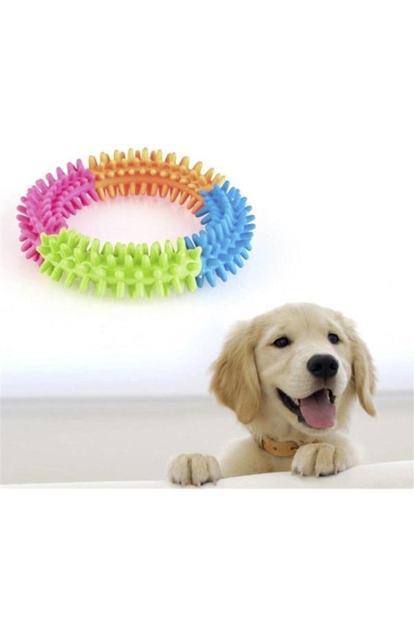 Relatos Gökkuşağı Köpek Diş Temizleyici Ve Kaşıyıcı Sağlıklı Eğlenceli Oyuncak - Image 1