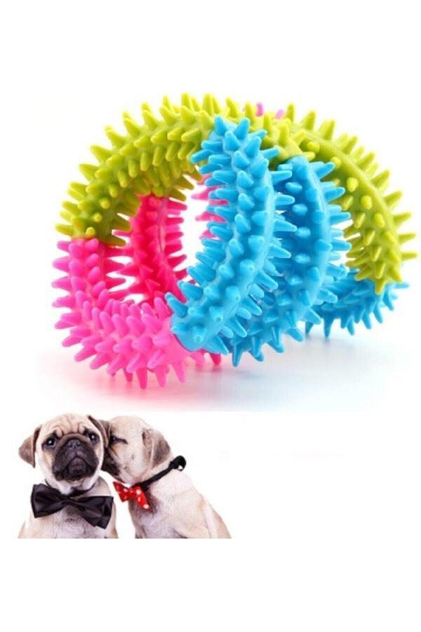 Relatos Köpek Isırma Çemberi (12 Cm) Köpek Diş Kaşıyıcı Ve Diş Temizleyici Gökkuşağı Renk Çember - Image 1