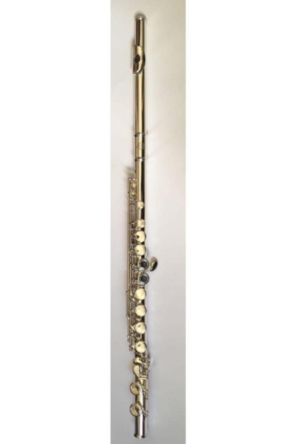 Silver Sılver Sfl-190Es Gümüş Kaplama C Flüt (Case Dahil) - Image 1