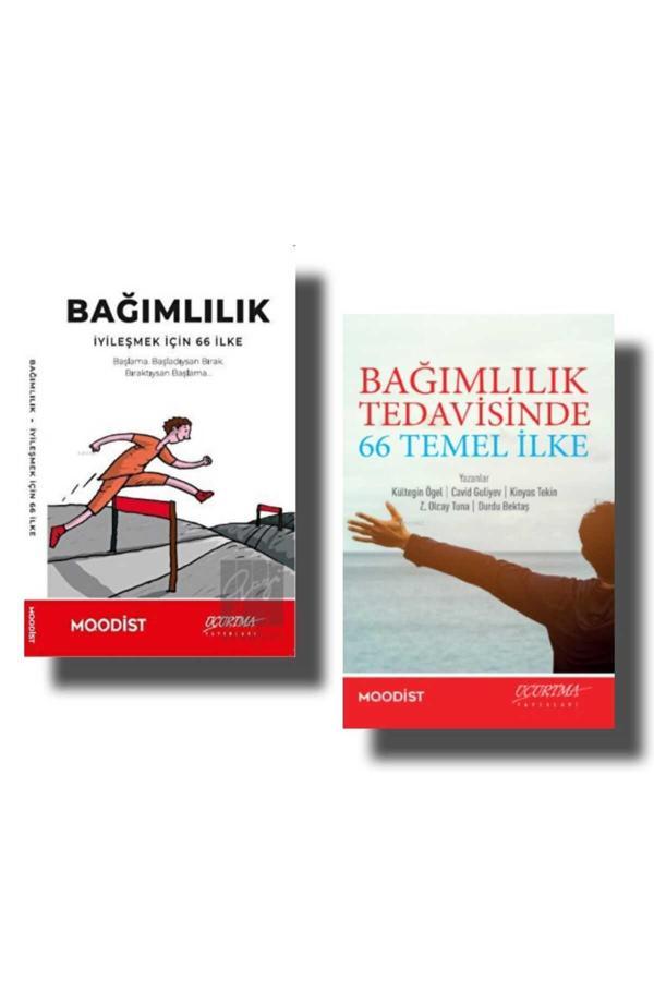 Uçurtma Yayınları Bağımlılık Tedavisinde 66 Temel İlke / Bağımlılık İyileşmek İçin 66 İlke - Uçurtma Yayınları - Image 1