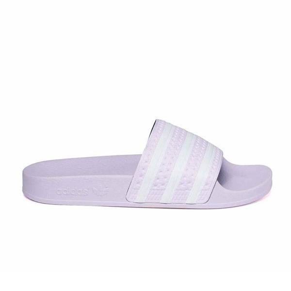 Kadın Terlik Adilette W EG5006 - Image 1