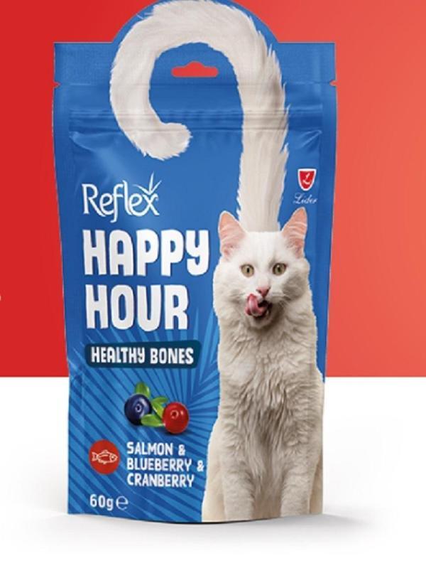 Somon&Yaban Mersinli&Kızılcık Sağlıklı Kemikler için Destekleyici Kedi Ödül Maması 60 Gr x 3 Adet - Image 1