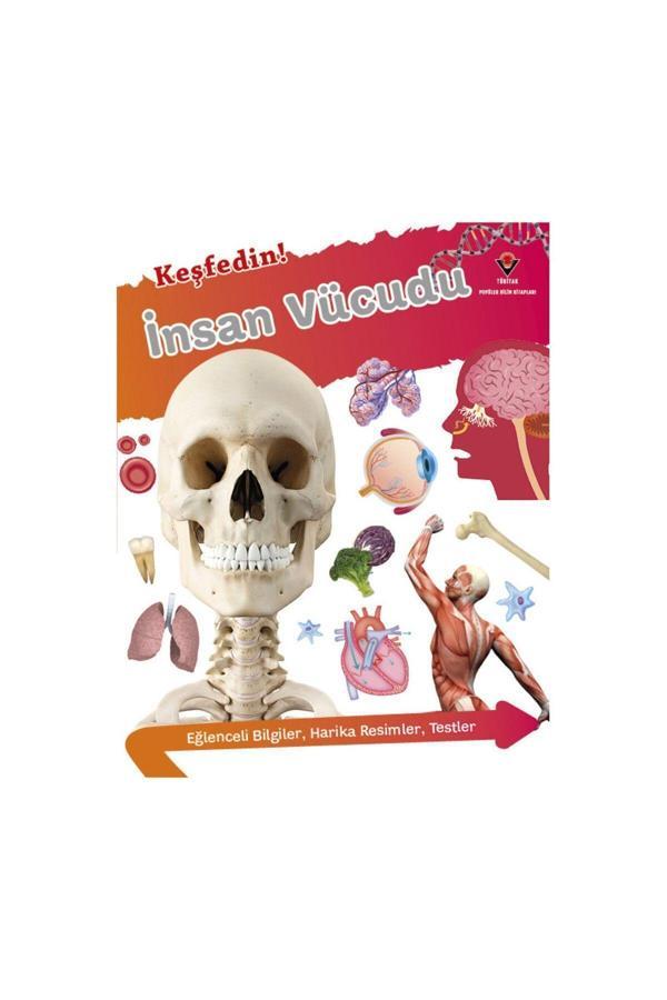 Tübitak Yayınları Keşfedin! İnsan Vücüdu 10+ Yaş - Tübitak Yayınları - Image 1