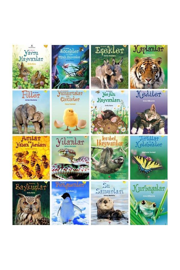Tübitak Yayınları 20 Kitap İlk Okuma Seti İlginç Hayvanlar Kitap Seti 7+ Yaş - Tübitak Yayınları - Image 1