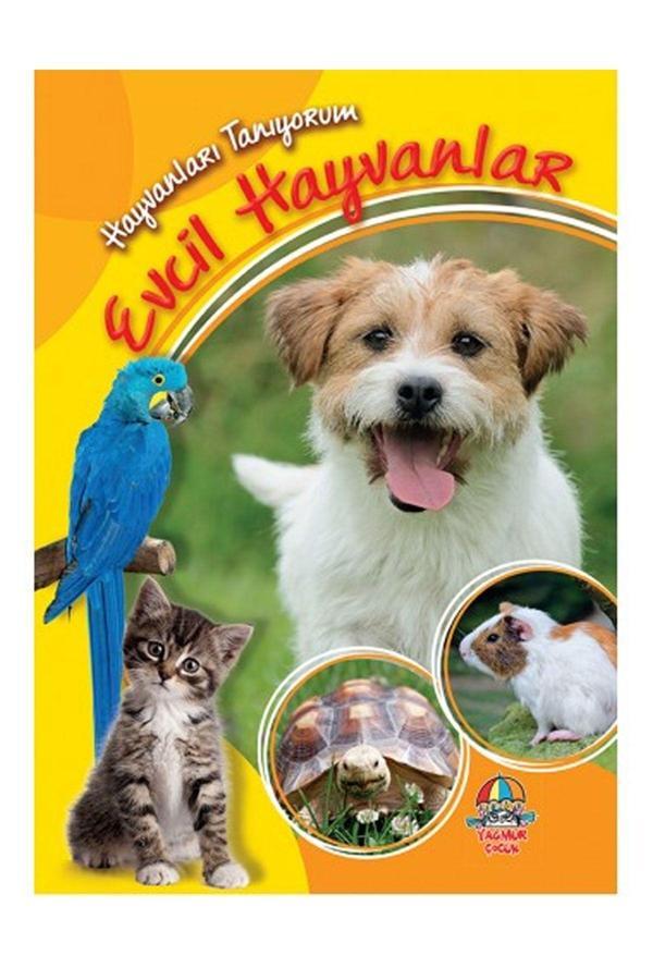 Yağmur Çocuk Evcil Hayvanlar - Hayvanları Tanıyorum - Kolektif - Yağmur Çocuk - Image 1