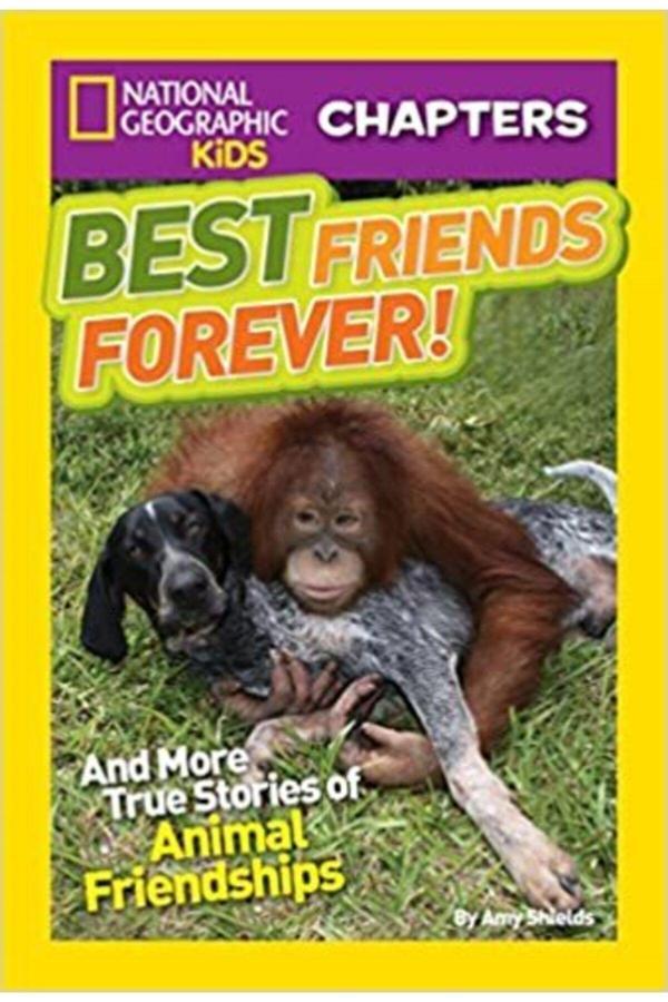 National Geographic Kids Best Friends Forever: And More True Stories Of Animal Friendships Ngk Chapters - National Geographic Kids - Image 1