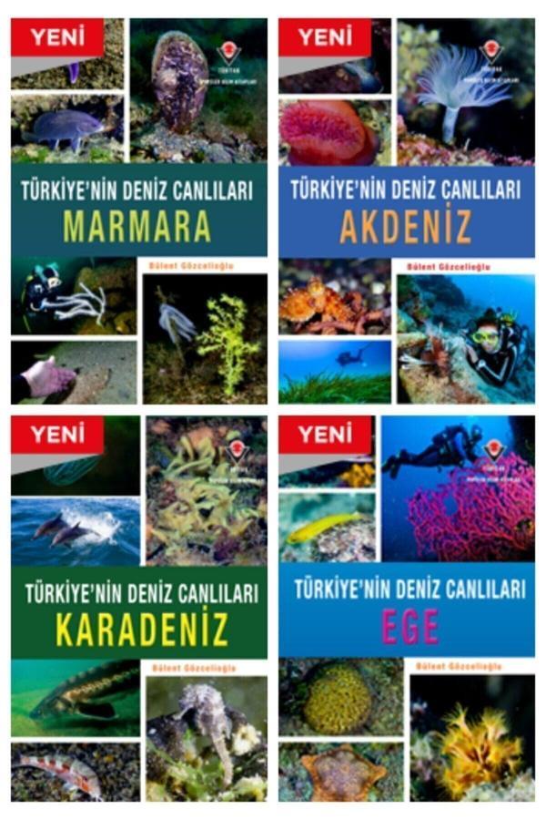 Tübitak Yayınları Tübitak Türkiye"Nin Deniz Canlıları Serisi 4 Kitap - Tübitak Yayınları - Image 1