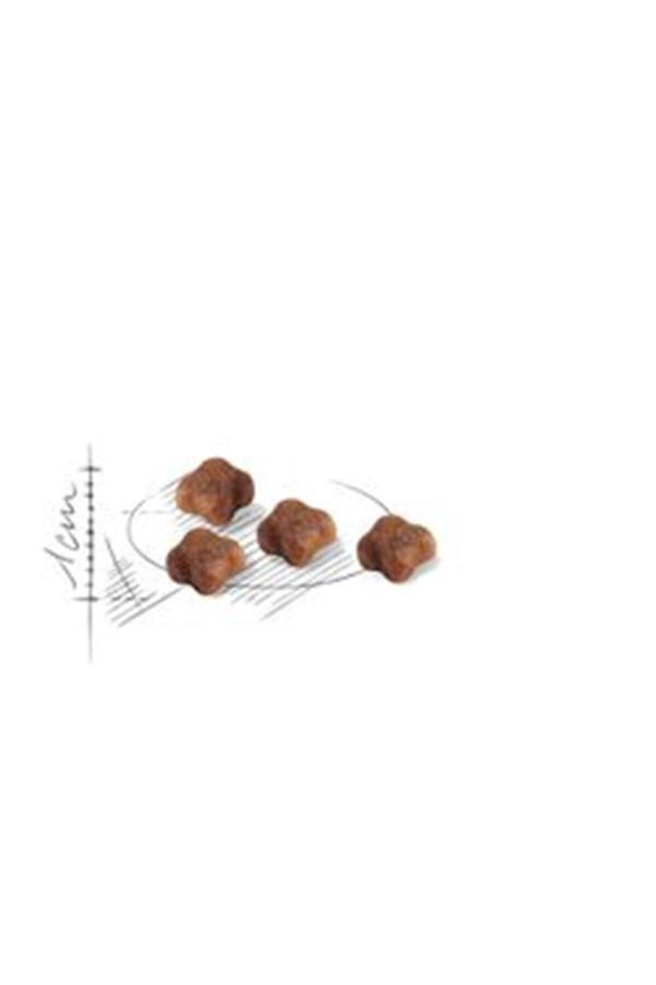 Royal Canin Mother Babycat Yavru Kuru Kedi Maması 4 kg - Image 1