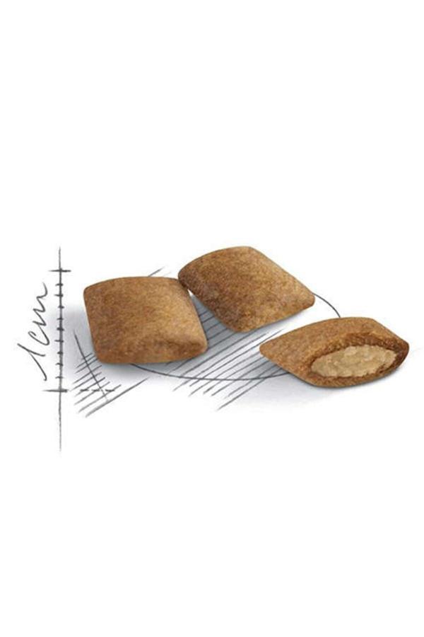 Royal Canin Ageing +12 Yaş Üzeri Yaşlı Kuru Kedi Maması 2 kg - Image 1