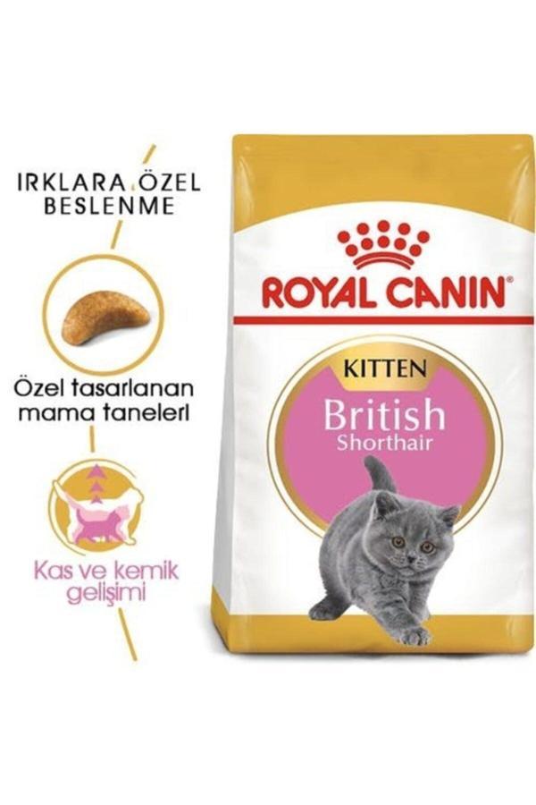 Royal Canın British Shorthair Yavru Kedi Maması 2kg - Image 1