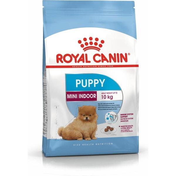Mini Indoor Puppy 1.5 kg - Image 1