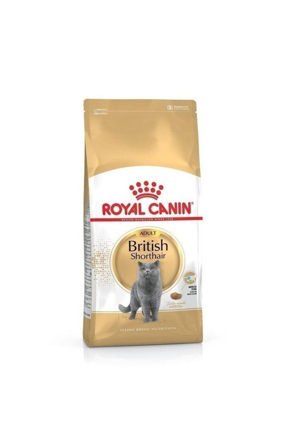Royal Canin British Shorthair Yetişkin Kedi Maması 10 kg - Image 1
