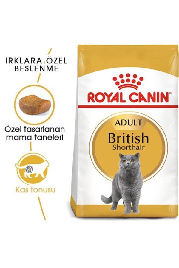 Royal Canin British Shorthair Yetişkin Kedi Maması 2 kg - Image 1