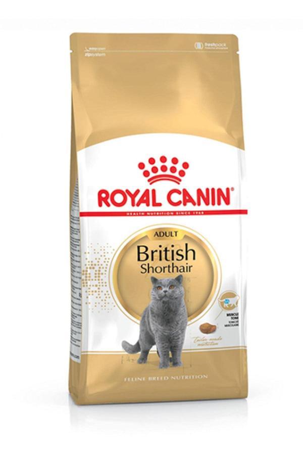 Royal Canin British Shorthair Adult Yetişkin Kedi Maması 4 kg - Image 1