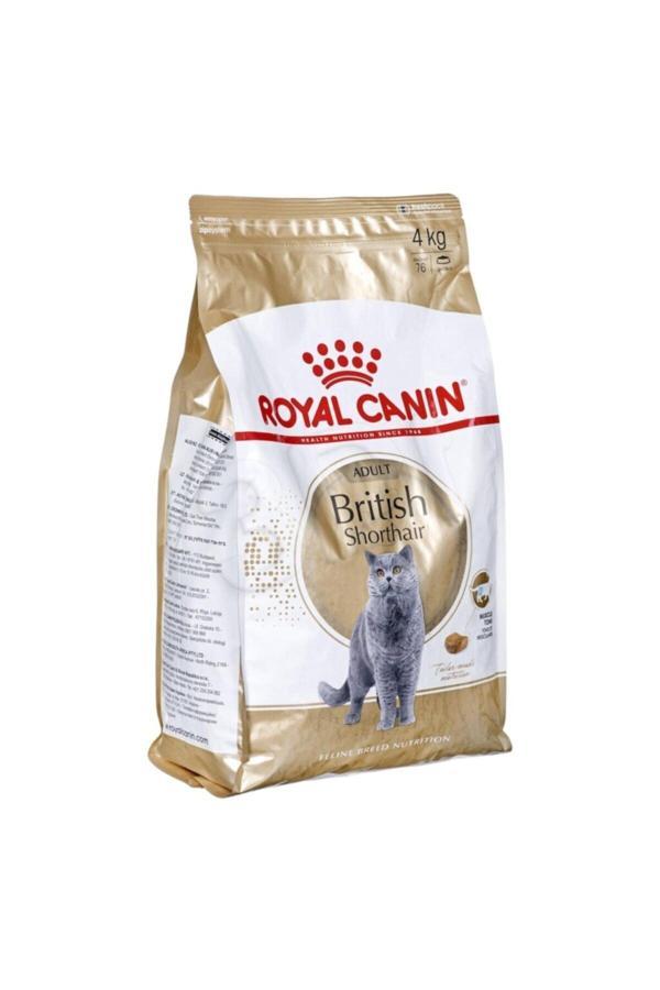 Royal Canin British Shorthair Adult Yetişkin Kedi Maması 4 kg - Image 1