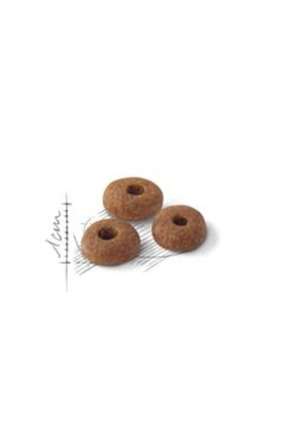 Royal Canin Fit 32 Kedi Kuru Maması 15 kg - Image 1