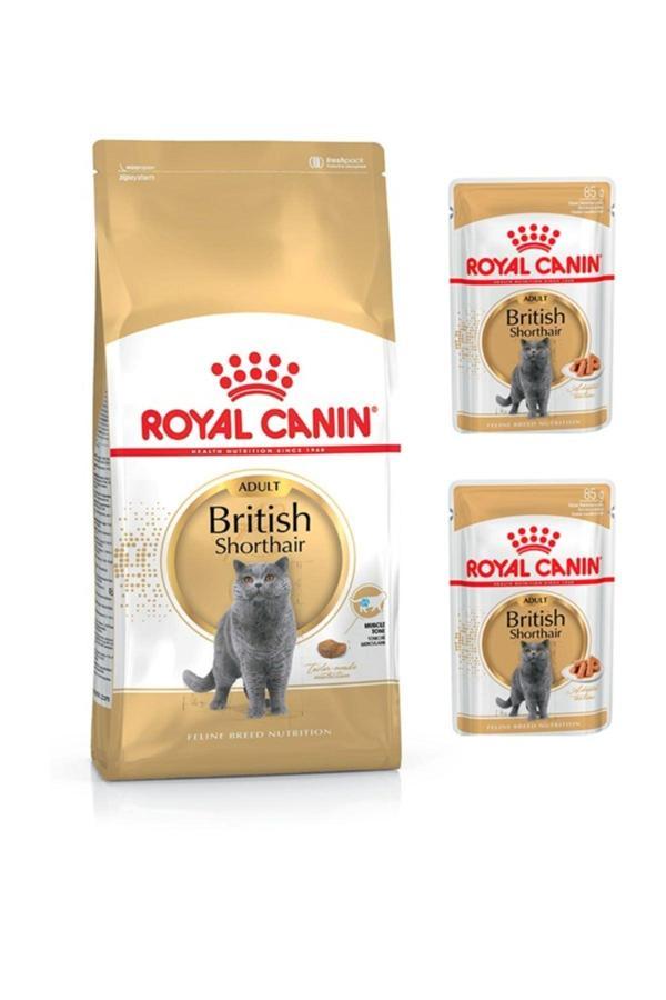 Royal Canin British Shorthair Yetişkin Kedi Maması 2 kg - Image 1